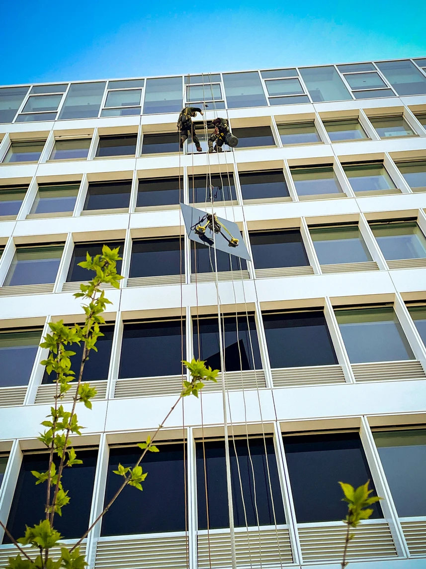 Intervention de cordistes MS Access pour la grue a pris sa journée chez LABASTERE à Bordeaux (bâtiment) – 1